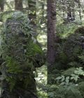 Jääkäri L - Image 23